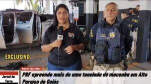 PRF apreende mais de uma tonelada de maconha em Alto Paraíso de Goiás; veja entrevista exclusiva