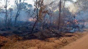 Queimadas em Formosa: Um desafio para a Saúde e o Meio Ambiente.