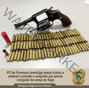 Polícia Civil prende homem em posse de arma de fogo durante investigação sobre morte de cão
